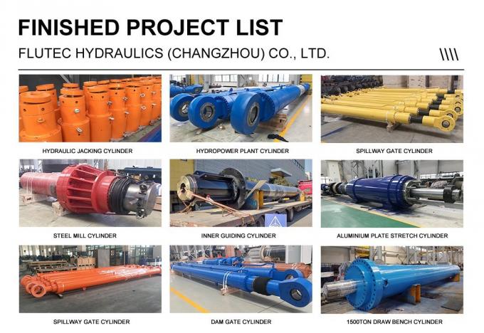 ISO9001 Cylindre hydraulique personnalisé de 4000 tonnes à grande profondeur pour plateforme de levage 8
