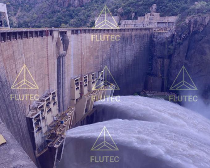 Cylindres hydrauliques à levage personnalisés pour les centrales hydroélectriques 1