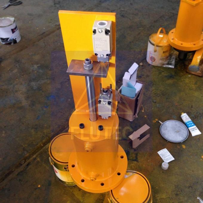 Cylindre hydraulique fabriqué par un tailleur pour une porte de barrage certifié SGS 5
